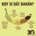 Kedy si dať banán.